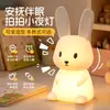 Luz de noite best-seller transfronteiriça, luminária de cabeceira para quarto, lâmpada de silicone que acende ao toque, temporizador, presente de aniversário para crianças atacado