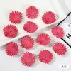 Criativo DIY headdress de pétalas de crisântemo comprimidas material de decoração de casamento flor artificial flor falsa grampo de cabelo flor acessório de roupa