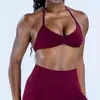 Sujetador deportivo de yoga sin costuras de nailon mate de alta elasticidad con cuello halter para mujer, ropa interior deportiva de espalda hermosa para mujer, sujetador deportivo exterior