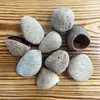 Fabricante de Fuente Artesanal de Indonesia, Piezas de Cáscara de Fruta Negra Semiacabadas Vendidas Individualmente, Se Pueden Usar como Materiales para Sonajeros, Carrillones de Viento y Campanas de Bricolaje