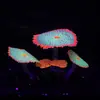 Decoraciones para Acuario Tanque de Peces Plantas Acuáticas Silicona Simulada Efecto Fluorescente - Coral Alfombra Paisajismo Paisajismo Fluorescente