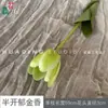 Flores de Tulipán de Colores Múltiples Estilo Europeo Abiertas a la Mitad Materiales y Accesorios DIY Hechos a Mano Pared de Flores para Bodas Arreglo Floral para Fotografía
