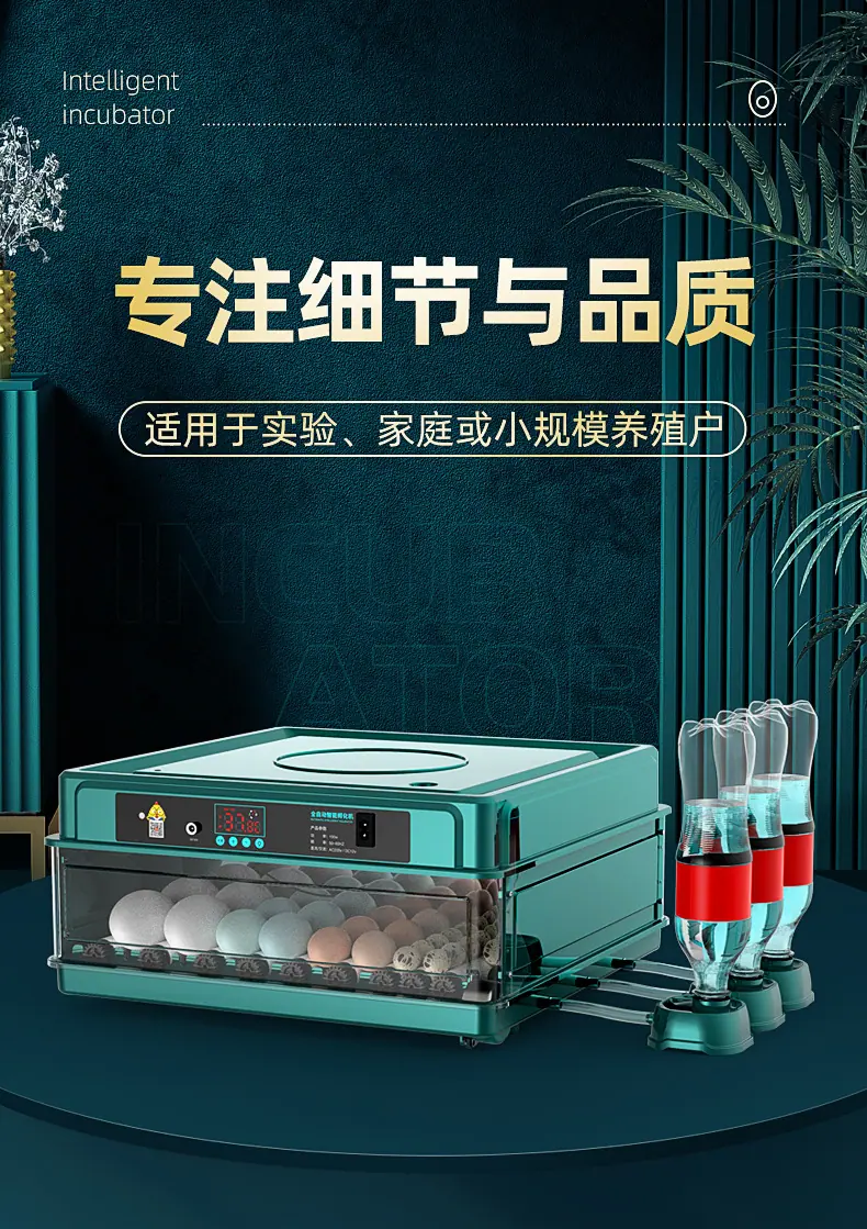 详情_01.jpg