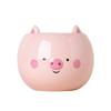 Chaozhou Yuanwang Decoración de Escritorio Personalizada DIY Dibujos Animados Animales Lindos Maceta Cerdo Blanco Rosa Habitación Adornos Pequeños