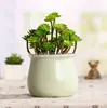 Série de Macarons Personalizados Transfronteiriços Vasos de Flores Suculentas Cerâmicos Vasos de Flores para Cactos Vasos de Flores Coloridos Combinados