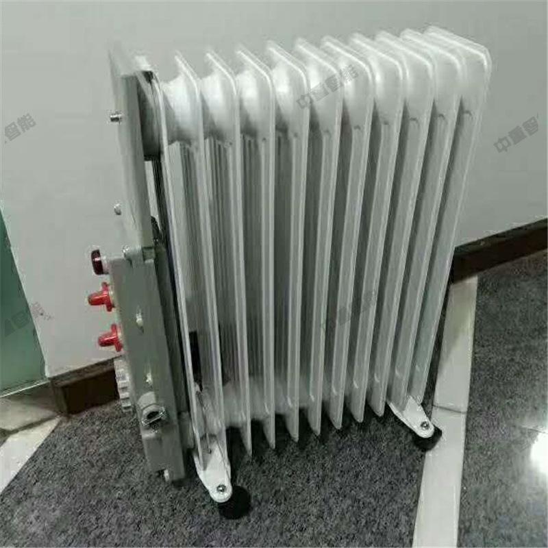 防爆油汀 (5)