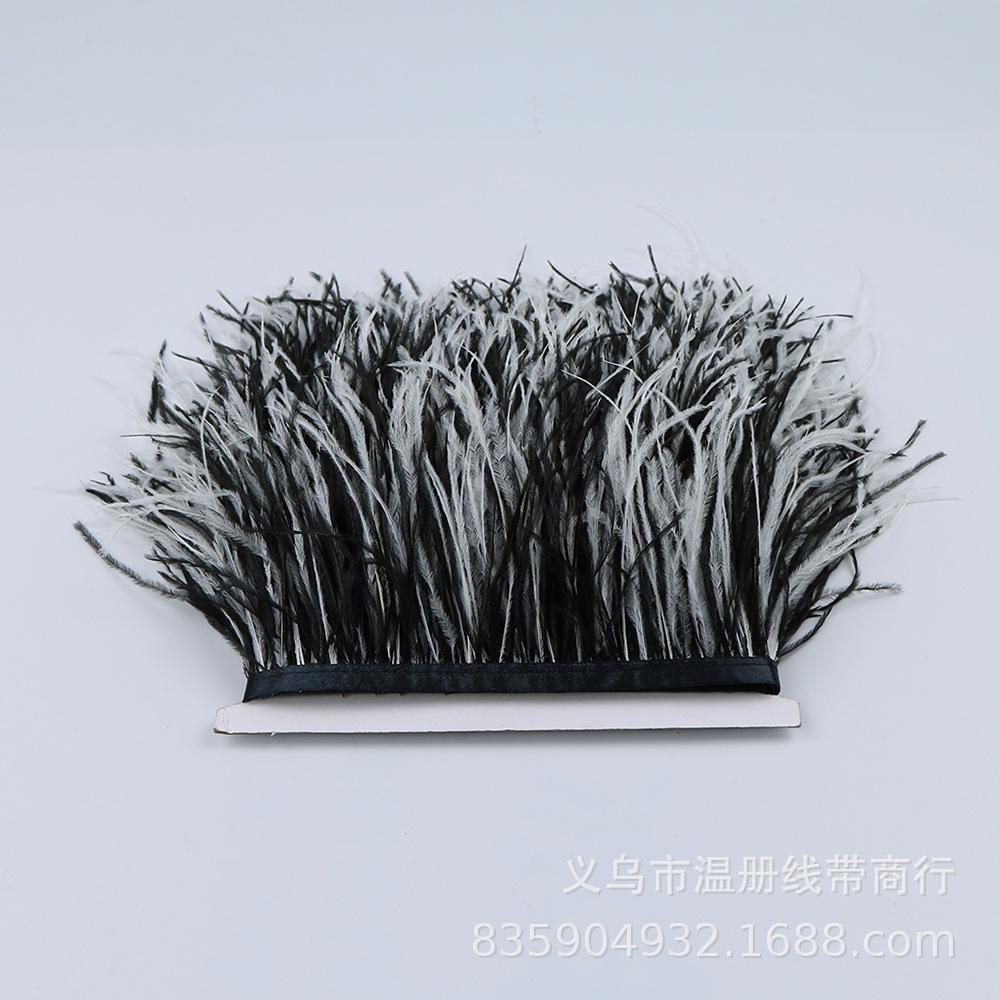 white and black ostrich feathe