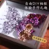Día de San Valentín Chino Marco de Fotos con Forma de Mariposa de Diamante Eterno Adorno Kit de Materiales DIY Regalo de Cumpleaños Hecho a Mano para Amigos