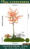 Plantas Verdes de Bordo Árvore Falsa de Bordo Vermelho Plantas em Vasos de Luxo Leve Decoração de Paisagismo para Sala de Estar de Casa Exibição de Janela Planta de Chão