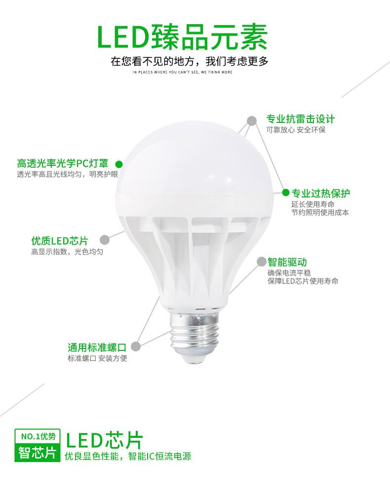 1.A泡仿飞组合图片_02.jpg