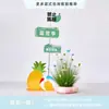 Cenário de Montagem de Evento com Tema de Verão Display de Loja em Shopping de Verão Decoração de Prancha de Surf Fundo de Decoração com Placa Kt