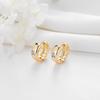 Pendiente de oreja con hebilla de oreja de personalidad transfronteriza de comercio exterior Zhongxing, pendiente de circonita microincrustada de 14k, pendientes de temperamento de lujo de alta calidad, venta al por mayor