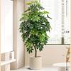 Planta de Simulación Madera Pie de Pato de Pie en Maceta Planta Verde Biónica Adornos Sala de Estar Lado del Sofá Decoración del Hogar Bonsái Árbol Falso