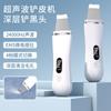 Faca Peeling Ems Íon Positivo e Negativo Facial Importação e Exportação Instrumento Limpeza Poros Óleo Cravos Máquina Peeling Ultrassônico