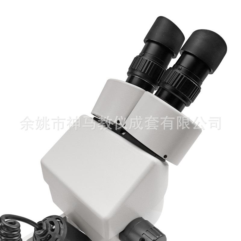 SZM45-B1 小连变上下光源-6.jpg