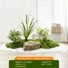 Planta Verde Simulación Cuatro Estaciones Siempre Verde Bajo Mantenimiento Vegetación Natural Decoración de Interiores Para Personas Perezosas Set de Plantas Adornos