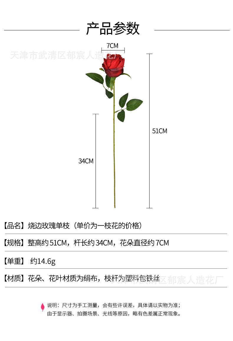详情_01.jpg