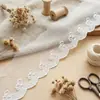 Tejido de malla de seda de leche con borde de encaje bordado, borde ondulado para ropa y textiles del hogar, accesorios hechos a mano DIY, al por mayor en stock