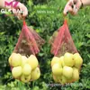 Malha Colorida de Malha Fina Encriptada Tecida de Plástico Malha de Brinquedo Fruta Noz Caranguejo Sacola de Malha Aquática Sacola de Malha