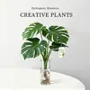 Planta Hidropónica Monstera, Planta Verde Todo el Año, Planta en Maceta de Cultivo en Agua para Interiores, Bambú de Hoja Grande para Sala de Estar, Oficina, Escritorio