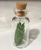 Japonês e Coreano Mais Vendidos Fresco e Doce Garrafa de Vidro de Garrafa de Deriva Trevo de Quatro Folhas Dente-de-Leão Flor Real Flor Seca Colar Modelo de Melhor Amiga