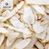Máquina Cortadora de Fruta Melón Guangdong TS-Q100 Máquina Cortadora de Papa para Hotel Máquina Cortadora de Rábano Máquina Cortadora de Bardana