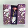 Rosas de Folha de Ouro 24K Transfronteiriças Presentes para o Dia dos Namorados Dia dos Professores Flores Artificiais Atacado Presentes Criativos para Eventos e Brindes