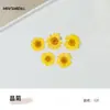 Materiais para Artesanato DIY de Flores Eternas no Atacado, Flores Secas, Frutas Secas, Rodelas de Laranja, Pinhas, Adereços para Fotografia de Flores, Materiais para Artesanato DIY de Jardim de Infância