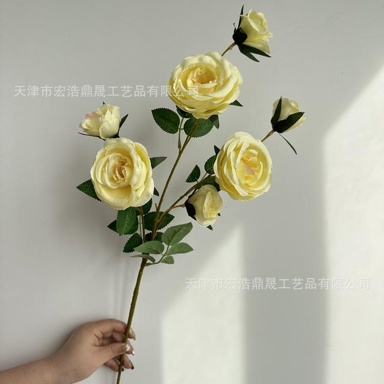 微信图片_202303091822237_副本