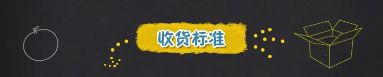 模版_04