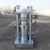 Linha de produção full-automatic da máquina do óleo do sésamo de Lefa Oficina da noz que pressiona a imprensa de tamanho médio do óleo 32kg do equipamento de pressão 32kg