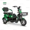Triciclo Eléctrico de Ocio O7 Certificado CE, Exclusivamente para Suministro Transfronterizo, Fábrica de Origen Acepta Personalización OEM/ODM