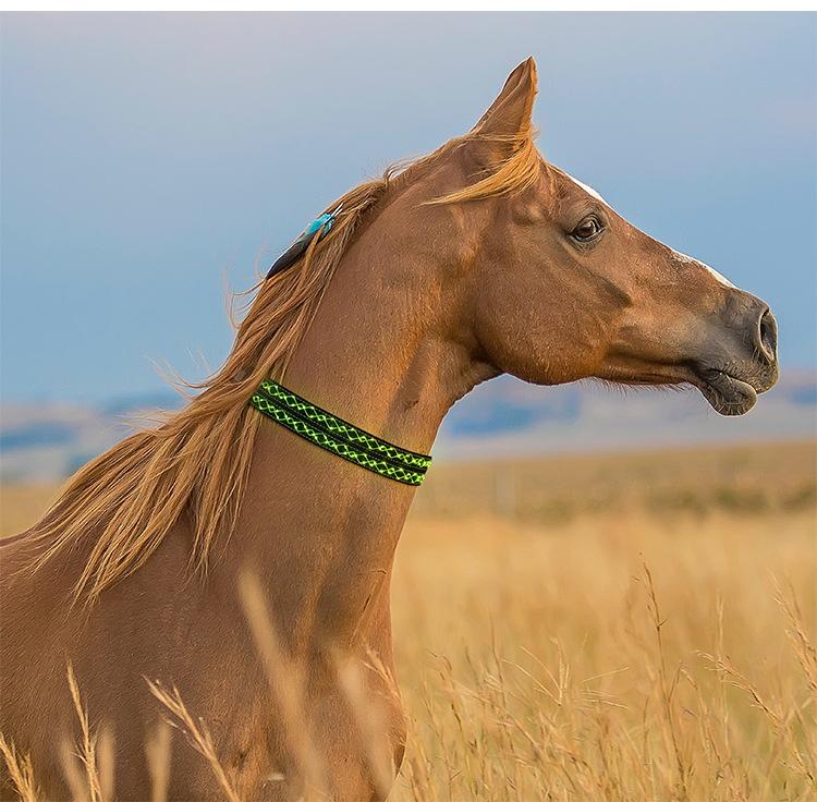 K4002-LED绳绣马脖 (10).jpg?x-oss-process=image/format,png