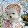 Petcircle Estilo Coreano Sombrero de Sol para Mascotas Gorra de Béisbol Capucha para Gato y Perro Protección Solar Parasol Disfraz para Tomar Fotos