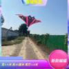 Atacado Weifang fabricante de pipas morcego relâmpago fornece pipas morcego grandes, médias e pequenas
