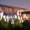 Ventas Directas de Fábrica Luces de Suelo de Caña de Fibra Óptica LED Impermeables para Exteriores Iluminación Decorativa para Parques y Patios Luces de Proyecto