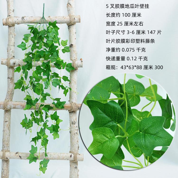 5叉胶膜地瓜叶叶壁挂