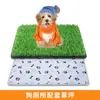 Césped Artificial para Perros Inodoro para Perros Almohadilla para Orinar Césped Falso Almohadilla para Orinar de Perro Césped Artificial Suministros para Mascotas Comercio Exterior Transfronterizo