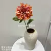 Flores Artificiales, Flores Secas Estilo Wabi-Sabi, Hojas Secas, Frutos de Pipa, Hortensias de Borde Tostado, Materiales Florales Vintage, Frutos de Espino Marítimo, Decoraciones de Mesa, Flores de Seda