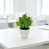 Venda Quente Transfronteiriça 10 Peças Pote de Planta Artificial Violeta para Bolo Planta Artificial Criativa Decoração de Mesa para Casa Plástico Pequeno Bonsai