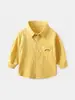 Camisa de Cuadros Nueva para Primavera y Otoño 2025 para Niños Camisa de Manga Larga para Bebé Niño de Talla Pequeña y Mediana Top Casual Estilo Coreano Venta al por Mayor