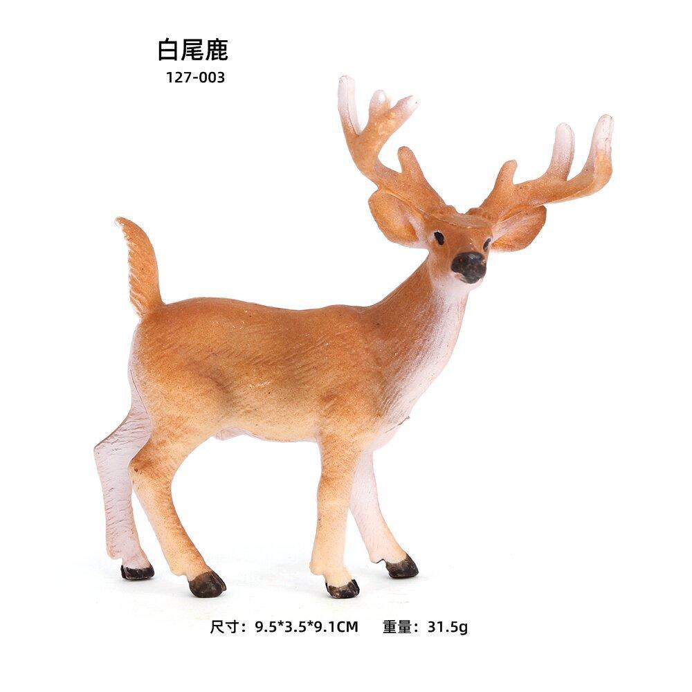 尺寸