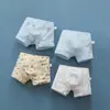 Roupa Íntima Masculina 3-12 Anos Roupa Íntima Infantil Tamanhos Médio e Grande Alunos Infantis Cueca Boxer Respirável de Algodão Puro Shorts Internos