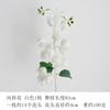 Flores Artificiais, Sinos de Vento, Flores de Seda, Flores Falsas, Flores Secas, Decorações de Casamento, Arte Floral, Flores de Chão, Atacado de Fabricantes Orquídea Cauda de Fênix