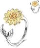 Anillo Giratorio con Grabado de Venta Caliente Transfronterizo, Anillo Abierto Ajustable para Aliviar la Ansiedad, Anillo de Zirconia de Descompresión para Mujeres Fabricante