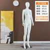 Mannequins para Vitrine de Lojas de Roupas Masculinas e Femininas, Mannequins de Corpo Inteiro em Formato Humano, Mannequins Modelo Pintados, Outros
