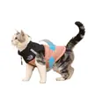 Ropa para Gatos Mascotas Se Puede Pasear, Abrigos de Algodón Otoño e Invierno, Ropa Gruesa y Cálida para Mascotas, Gatos Ragdoll, British Shorthair, Gatos Alemanes