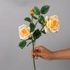 Rosa Artificial de Alta Calidad Húmeda de Alta Gama con Sensación Simulada Muebles para el Hogar Decoración de Sala de Estar Ramo para Exterior Rosas
