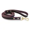 Guia de Animal de Estimação, Corda de Animal de Estimação, Guia de Cachorro, Guia para Passeio de Cachorro, Couro Genuíno Couro de Primeira Camada Corda de Couro, Latão