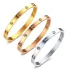 Pulsera de Cierre a la Moda, Pulsera Popular Chapada en Oro Rosa de Quinta Generación, Estilo Celebridad de Internet con Diez Diamantes, Cierre Incrustado con Diamantes, Mayoreo